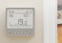 Image1